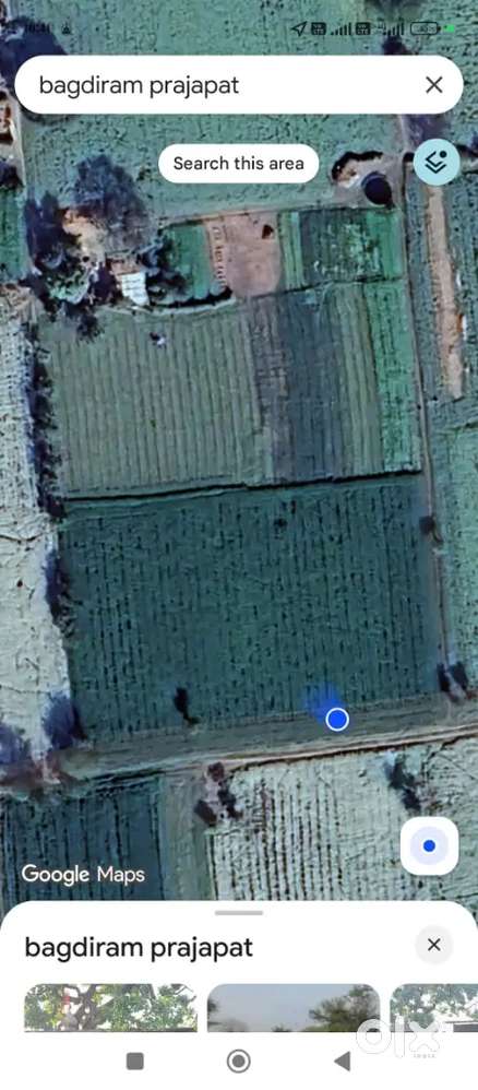 खेत बेचैन है