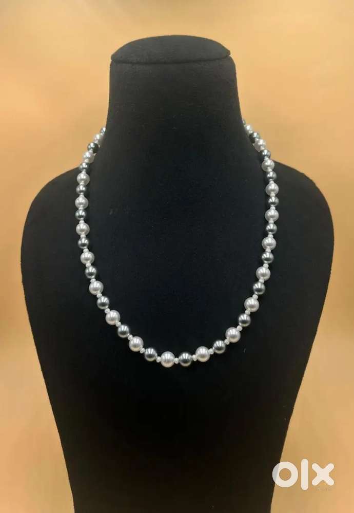 Shell Pearl New Product