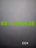 Chinese master for the restaurant