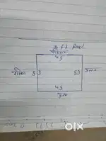 Bhagat Singh colony