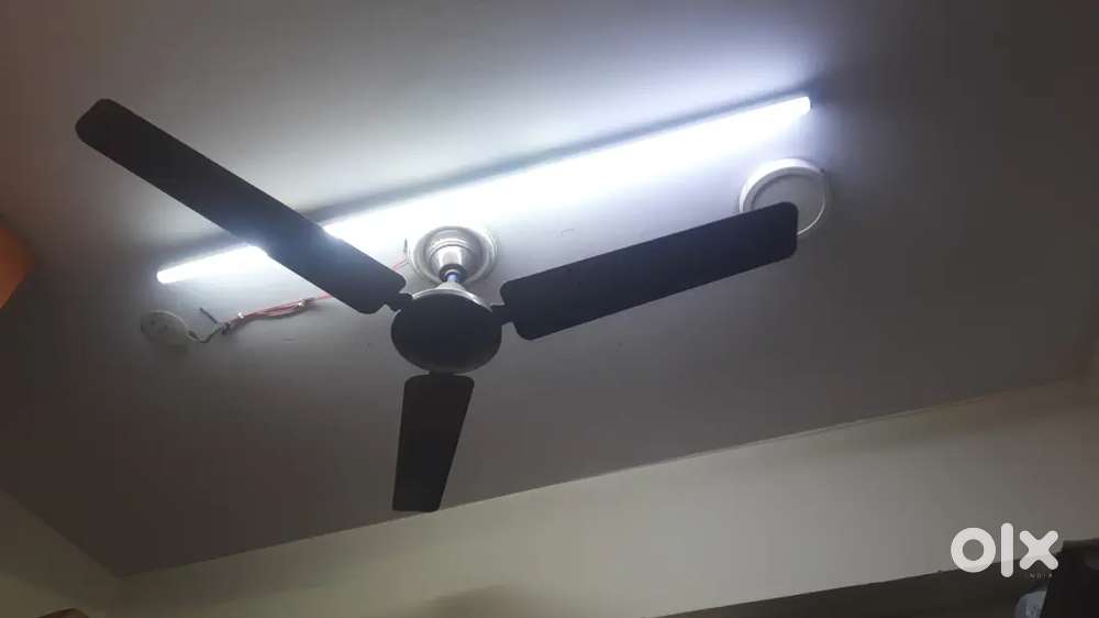 Ceiling fan