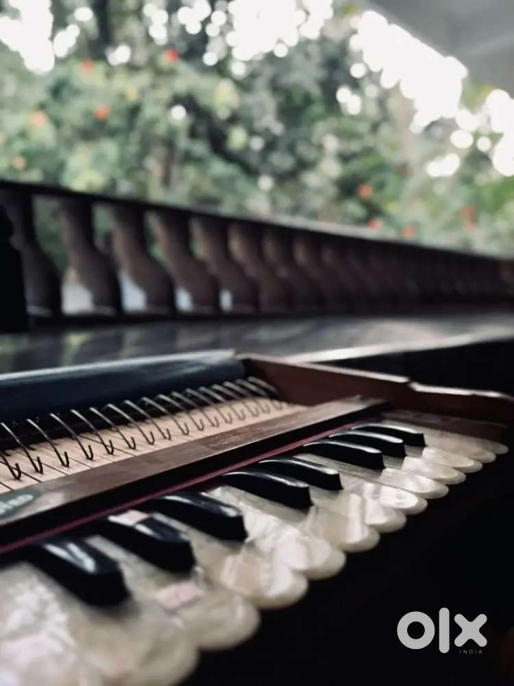 I am a classical vocal instructor