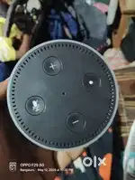 Amazon Alex