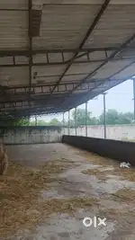 godown at cheapest rent