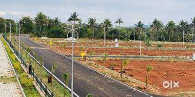 Fully Approved plot for Sale