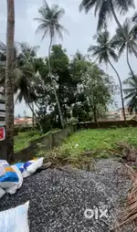 6 Cent Commercial Plot