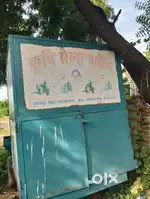 Palesar masen