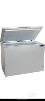 BLUE STAR ICECREAM STORAGE DEEP FREEZER