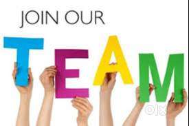 Air-Ticket / Travel Desk Executive