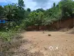 Land for sale 30.60 cent