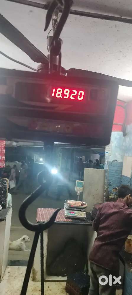 Chicken cutting ka karigar chaiye shop samalne wala location diva ka i