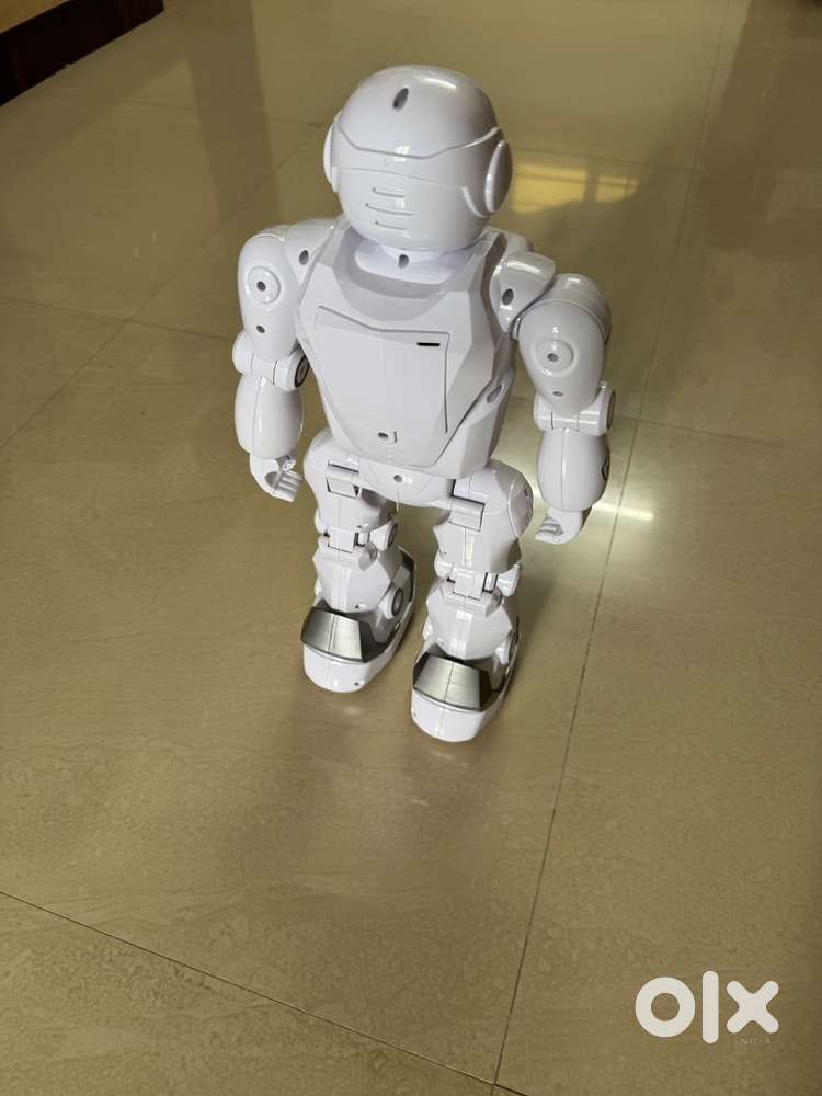 Remote robot