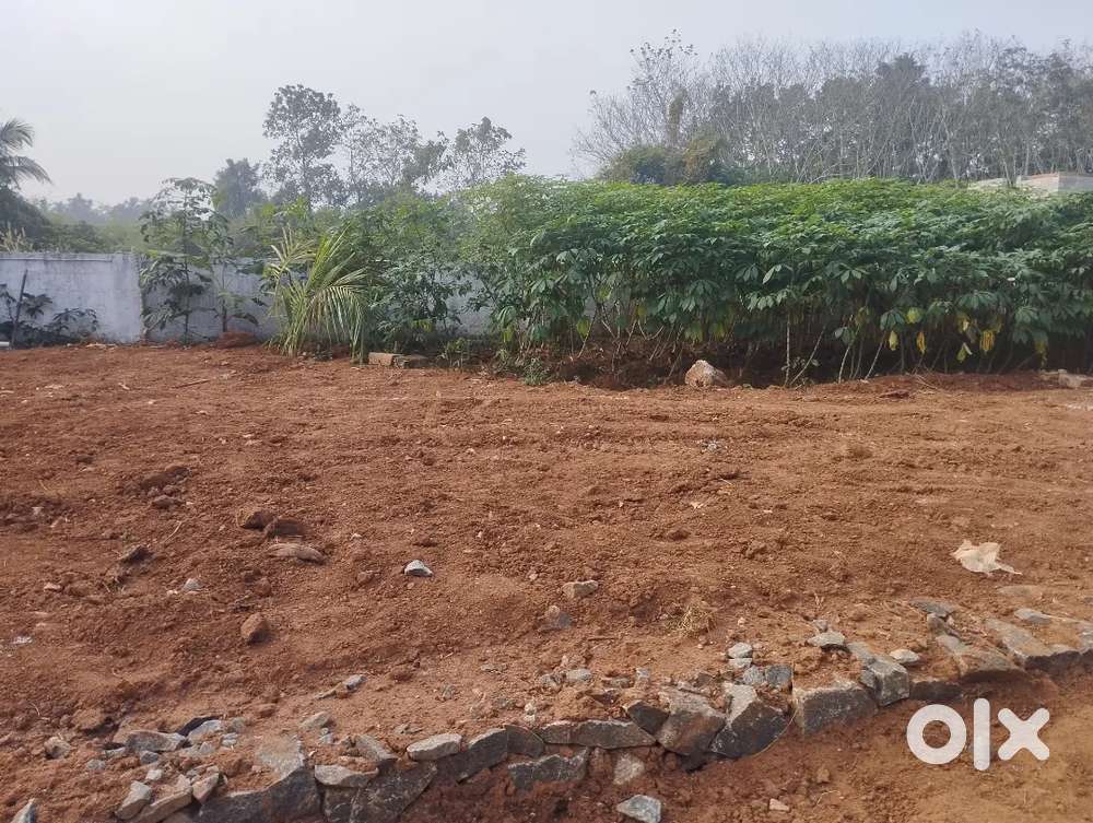 5 Cent plot for sale