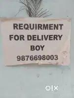 Requirement for delivery boy for nayagaon fresher and experience