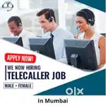 BPO IN & OUT VOICE PROCESS