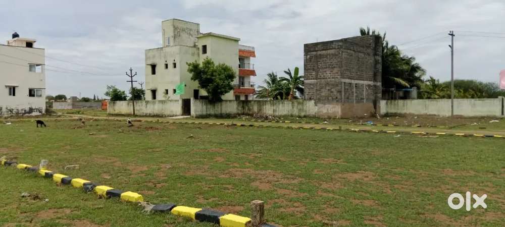 BEST LOW BUDGET PLOTS @ CIT COLLEGE