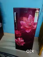 1 year old Refrigerator