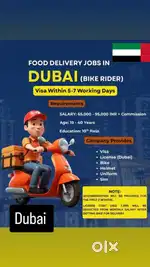 Need Delivery boy