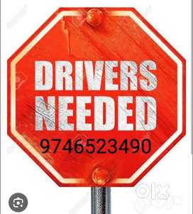 Driver for Resort