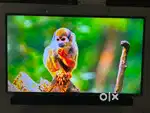 MI Full HD 43” LED TV