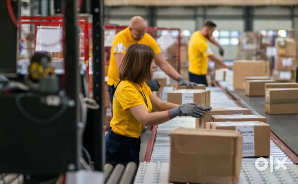 WARE HOUSE PACKING, HELPER,SCANNING JOB IN LUCKNOW LOCATION!