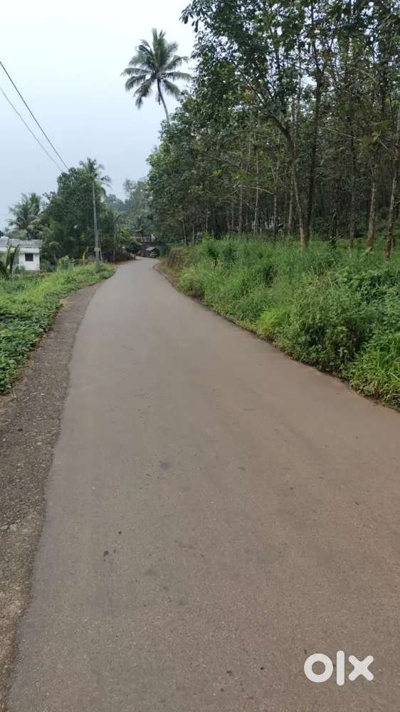 Thodupuzha anchiri 4 acre for sale