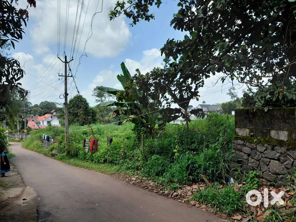 Ettumanur. 11 Cent, Residential plot.