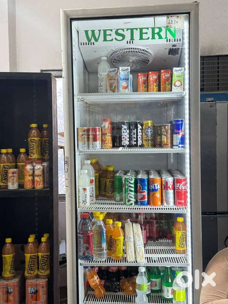 Western Refrigerator Commercial - 500L