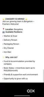 Washer, Dry Cleaner, Laundry work