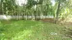 8 cent plot for sale in kundara pallimukku