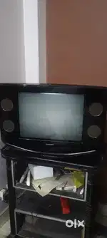 Television