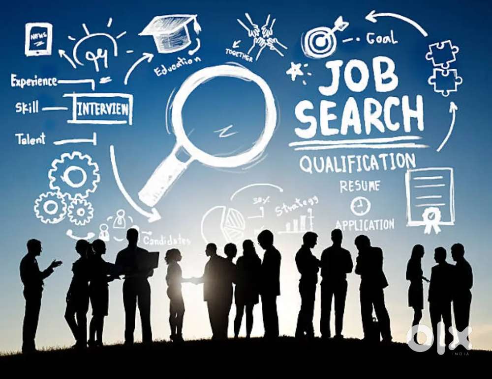 IT developer/ Non-IT jobs work from office