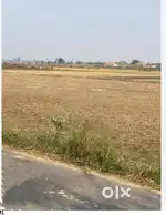 जगदलपुर से लगे कुदालगांव में घर बनाने योग्य एसटी जमीन विक्रय करना है