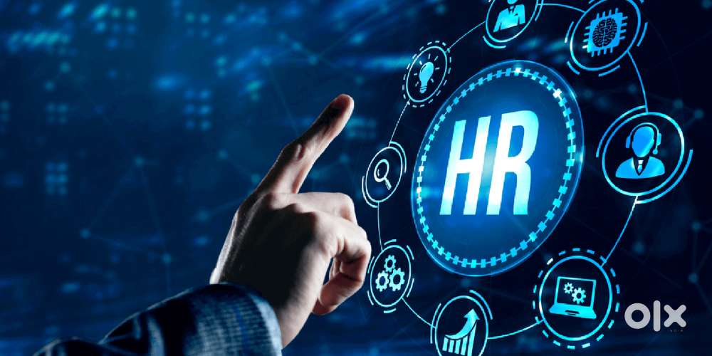 Accountant & Auditing Executive - Kaloor