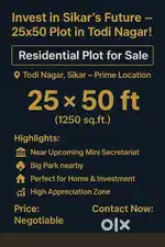तोदी नगर पोश area plot  विद्या भारती स्कूल के नजदीक शानदार प्लॉट