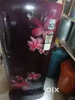 Rent 750 Rs