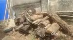 Fire Wood, Dry wood