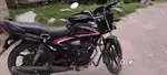 Honda Shine