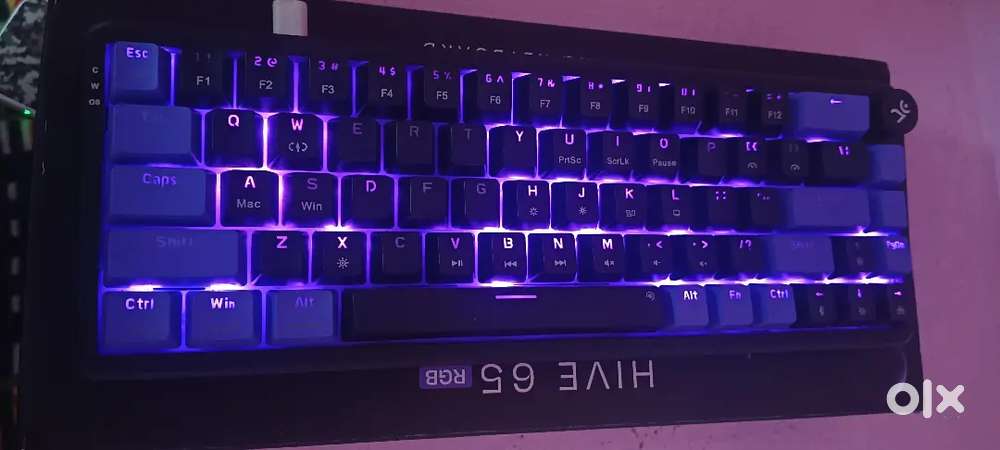 Keyboard and mouse