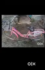 1yer new cycle ledis