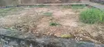 4+5+6 CENT LAND FOR SALE  AT INFOPARK PHASETO