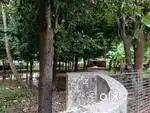 Aluva  River side 47cent Real Land for sale.