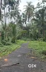 Plot for sale at Dicarpali Navelim Salcete Goa!