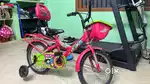BSA Doodle Children's Cycle