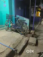 Ladies cycles