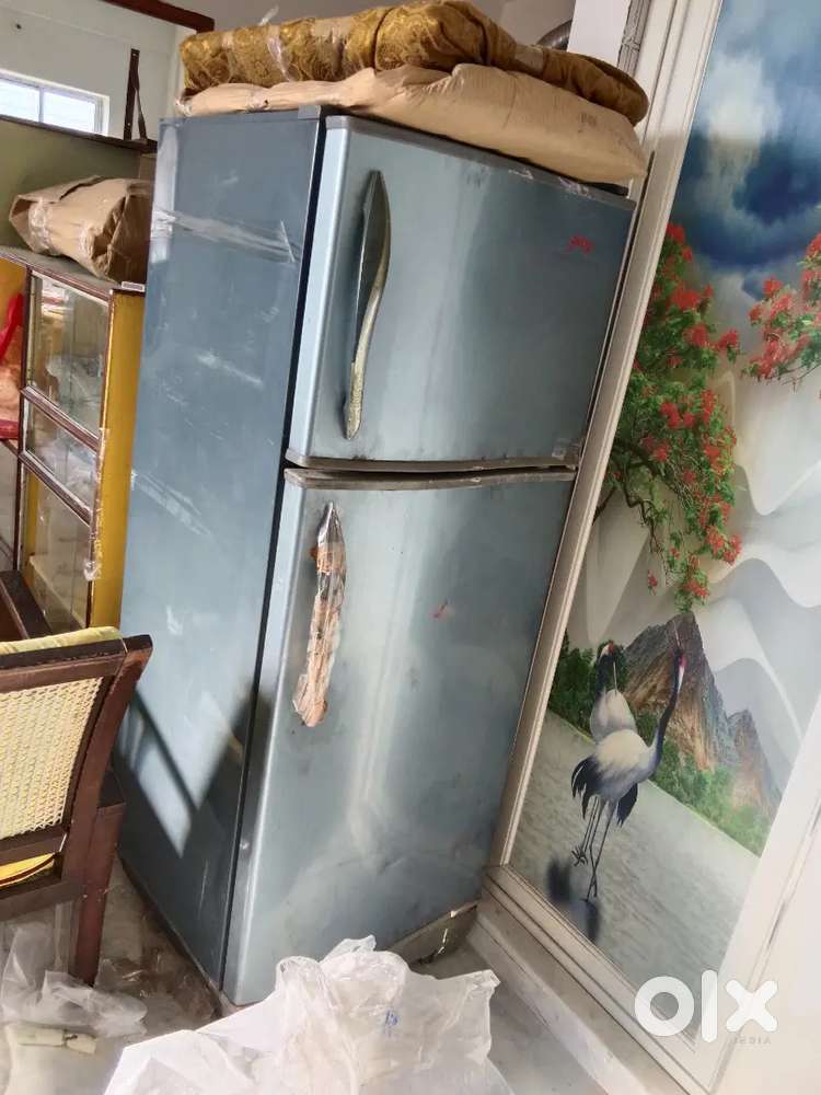 Fridge Goarij pentacool