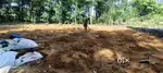 Urgently sale 10 cent house plot