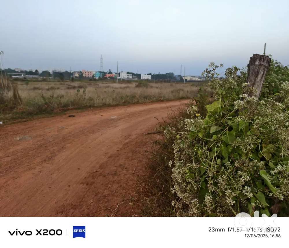 Bhubaneswar plot for near Allms hospital