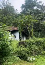 Wayanad tirunelli 25 cent dryland with house,2.85 paddyland selling