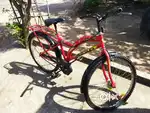 hercules cycle sell